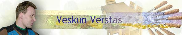 logo_verstas.jpg (15809 bytes)